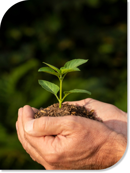 master-solo-maximum-estimulante-organico