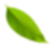 master-solo-maximum-estimulante-organico